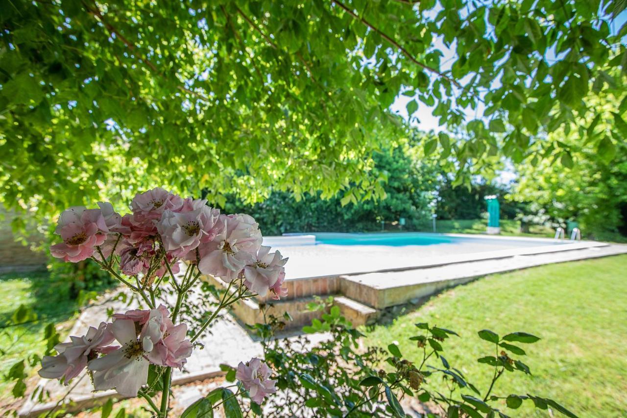 Borgo Del Nibbio Apartman Porto Levante Kültér fotó